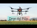 Dron de uso Agrícola