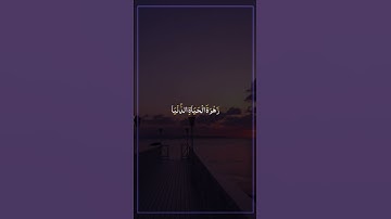الآية ١٣١ من سورة طه بصوت القارئ ياسر الدوسري 💜🎧