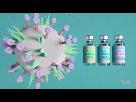 Scientists Closing in on Universal Flu Vaccine