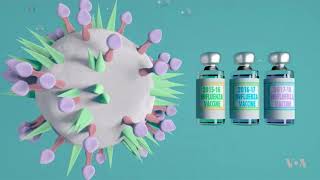 Scientists Closing in on Universal Flu Vaccine