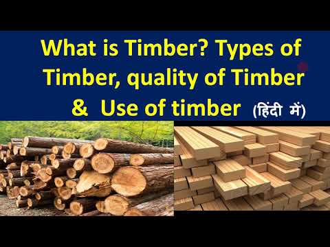 Timber/What is Timber/Types of Timber/quality of Timber/Use of timber