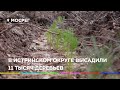 НОВОСТИ ИСТРА 360° 11.09.2020//В ИСТРИНСКОМ ОКРУГЕ ВЫСАДИЛИ 11 ТЫСЯЧ ДЕРЕВЬЕВ