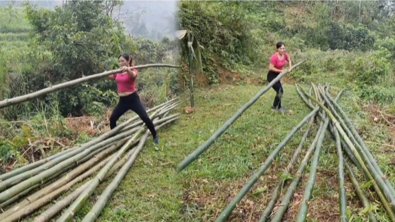 TIMELAPSE The entire process of construction and installation of a bamboo house takes 30 days.