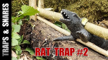 🐀 Rat Trap 2: DEADFALL Style! Ultimate Spring Traps & Snares Explained 💥 #Survival #bushcraft