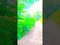 #auracat