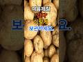 여름제철 감자 이렇게 보관하세요. 그래야 오래먹습니다. #건강 #건강정보 #음식 #감자