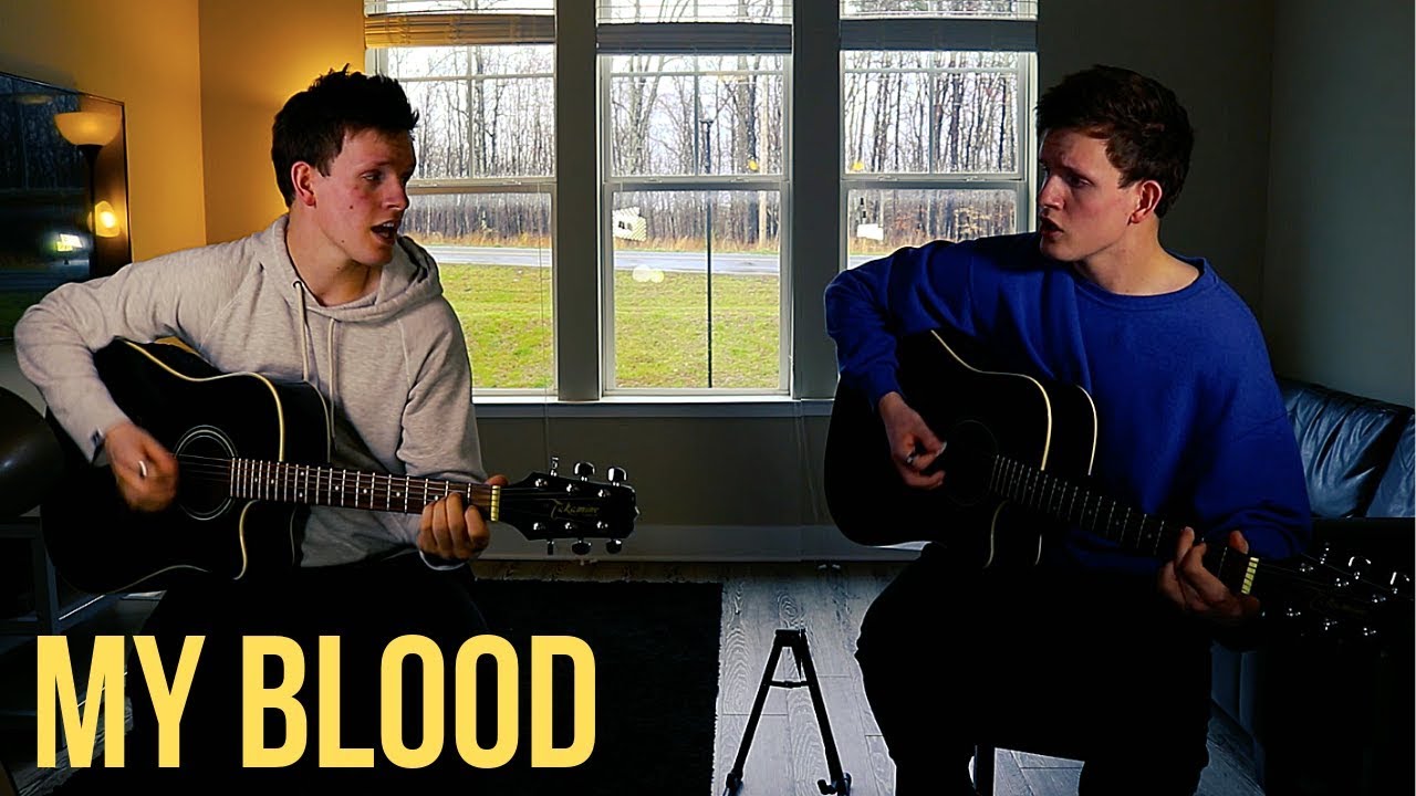 Twenty One Pilots - My Blood (Acoustic Cover)