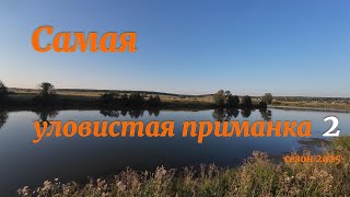 видео: САМАЯ УЛОВИСТАЯ ПРИМАНКА 2. СЕЗОН 2025. ЖАДНЫЕ ПОКЛЁВКИ ЩУКИ. картинка: САМАЯ УЛОВИСТАЯ ПРИМАНКА 2. СЕЗОН 2025. ЖАДНЫЕ ПОКЛЁВКИ ЩУКИ.