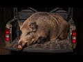 Thermal Hog Hunting in Florida