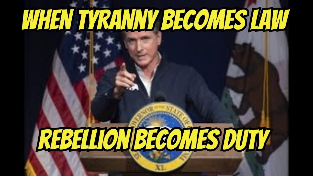 Why Must YOU Resist Unconstitutional Laws in 2025?