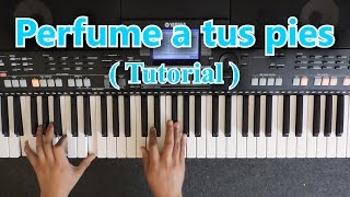 Video thumbnail of "PERFUME A TUS PIES TUTORIAL PIANO 🎹"