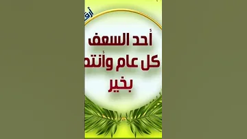 ١٢ أبريل ٢٠٢٥ 