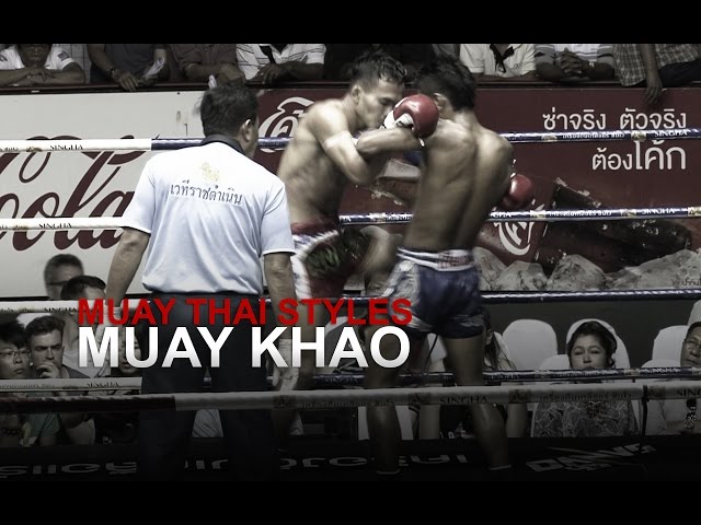 I will learn this fighting style  Muay thai, Técnicas de muay