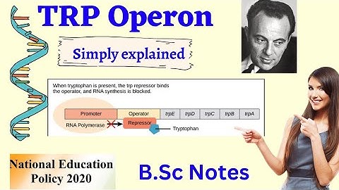 TRYPTOPHAN OPERON- Simply Explained | Molecular Biology TRP operon #nepsyllabus