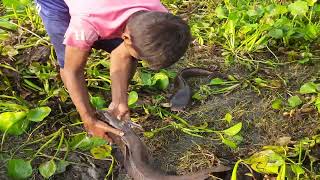 TOP10 Videos Fishing Catching and Hunting in Lake | Amazing Result With Beautiful Fish 1