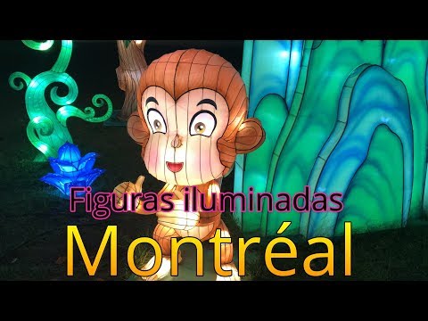 Video: Linternas chinas en el Jardín Botánico de la Luz de Montreal