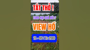 Đất Dầu Tiếng I Bán gấp lô đất View Hồ Dầu Tiếng 12 × 95 ( Tc 200) #kimbds