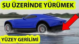 SU ÜZERİNDE YÜRÜMEK (Yüzey Gerilimi - Suda Yürüyen Hayvanlar)