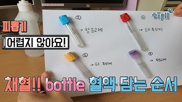 간호사가 알려주는 채혈, bottle 혈액 담는 순서, 피뽑기 실습해보자!