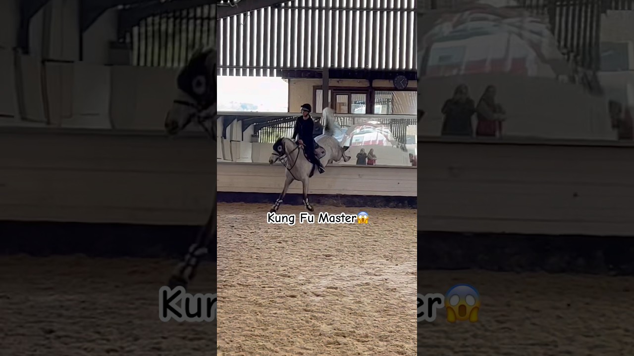 Мастер кунг-фу 