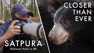 Wildlife Photography in Satpura National Park | TIGER COUNTRY Ep. 3  New Life (Canon R5 8K)