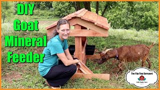 Finally Got This Project Complete | DIY Goat Mineral Feeder