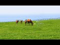 2026 北海道サマーセール2日目 生中継