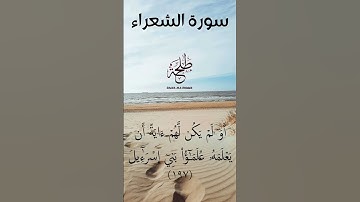 ما تيسر من سورة الشعراء - القارئ طلحة محمد