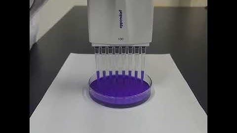 Pipette Tips
