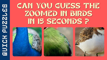 Zoomed in Picture Puzzle | Zoomed in Picture Guessing Game | Part 4 | Object Puzzles | Quick Puzzles