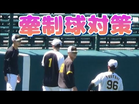 阪神タイガース 試合前練習④ 走塁/打撃編