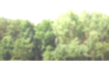 SCP - Nine Tailed Fox Mod v0.2.0 Trailer