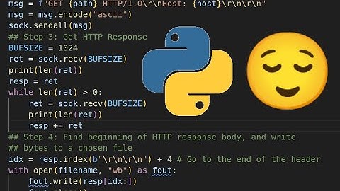 HTTP Requests with Python Sockets