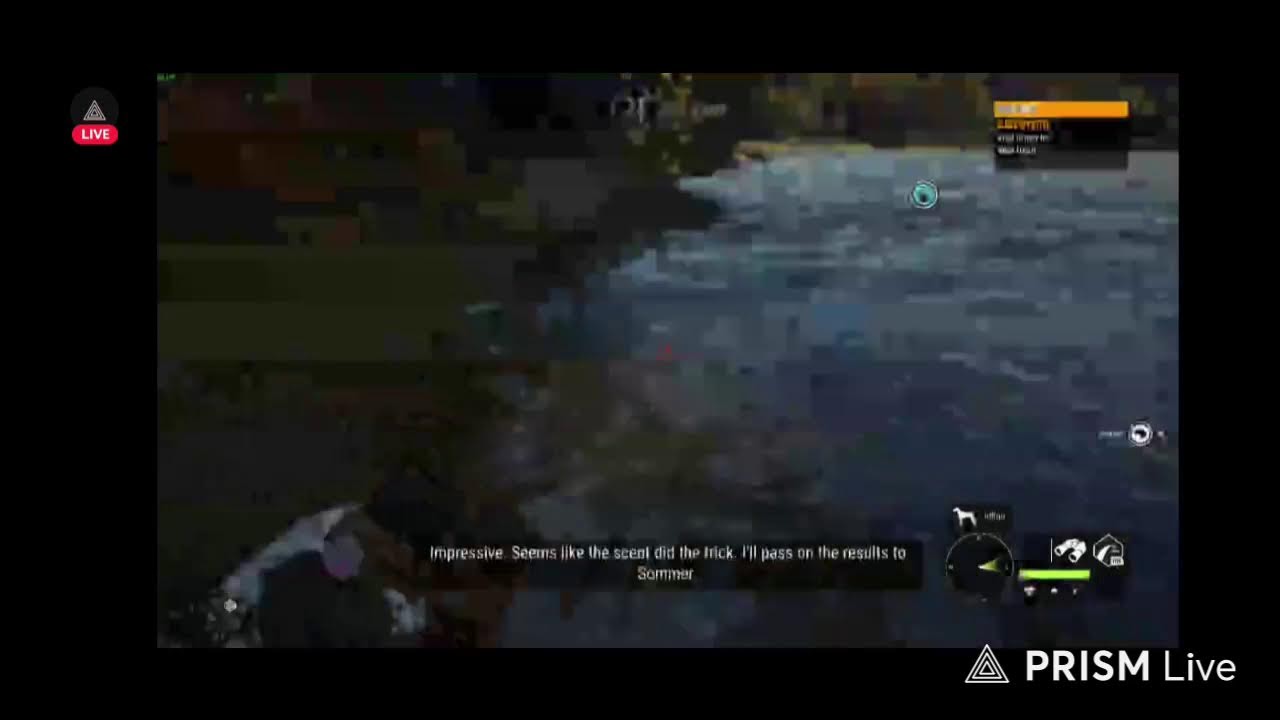 Live streaming of missing_ spangle