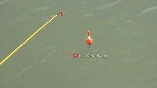 TARIKANNYA MANTAP, STORY WA MANCING