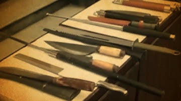 Quốc hội thảo luận Tổ về Dự án Luật Quản lý, sử dụng vũ khí, vật liệu nổ, công cụ hỗ trợ