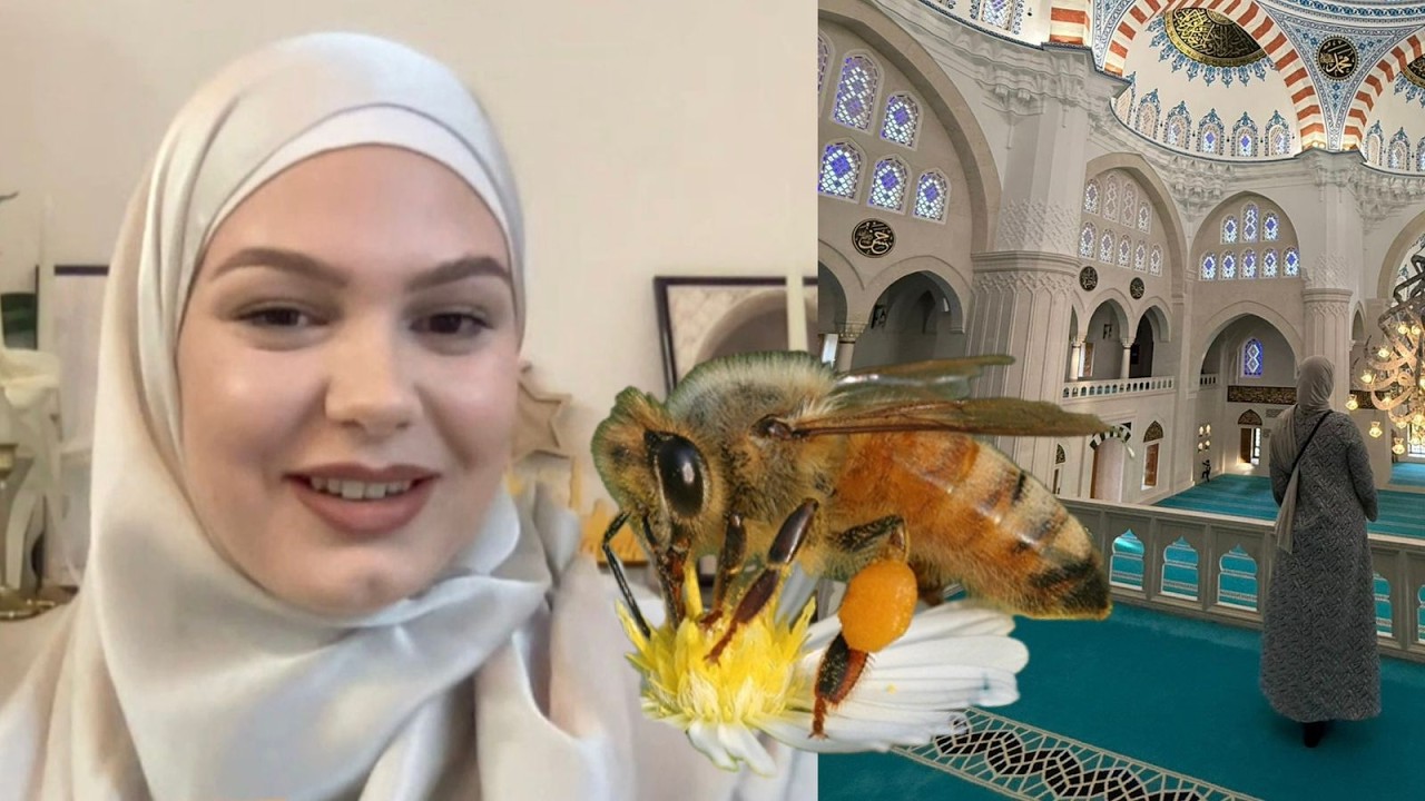 “U fiksova me bletët, arsyeja pse u mbulova me shami”, rrëfimi i dibranes