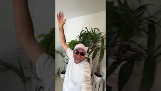 House Classics A Cappella Tip Of The Day Modjo  Ladydj house