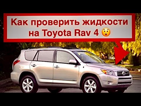 🧐Проверка жидкостей на Toyota Rav4 ⁉️How check oil before start 🦾 Как проверить уровень масла❓