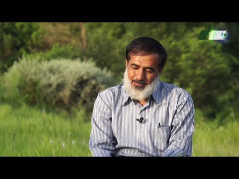 سیمای صحابه - ابو ایوب انصاری (1) - 14/05/2020