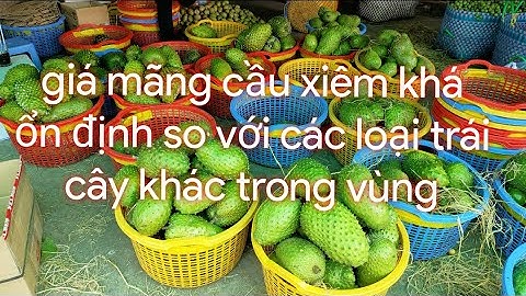 Mãng cầu xiêm châu thành hậu Giang.#new #vlog #channel #omletarcade
