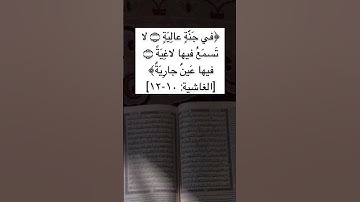 #القرآن_الكريم #سورة_الغاشية #اكسبلور #ترند #quran #quotes #explore #trending