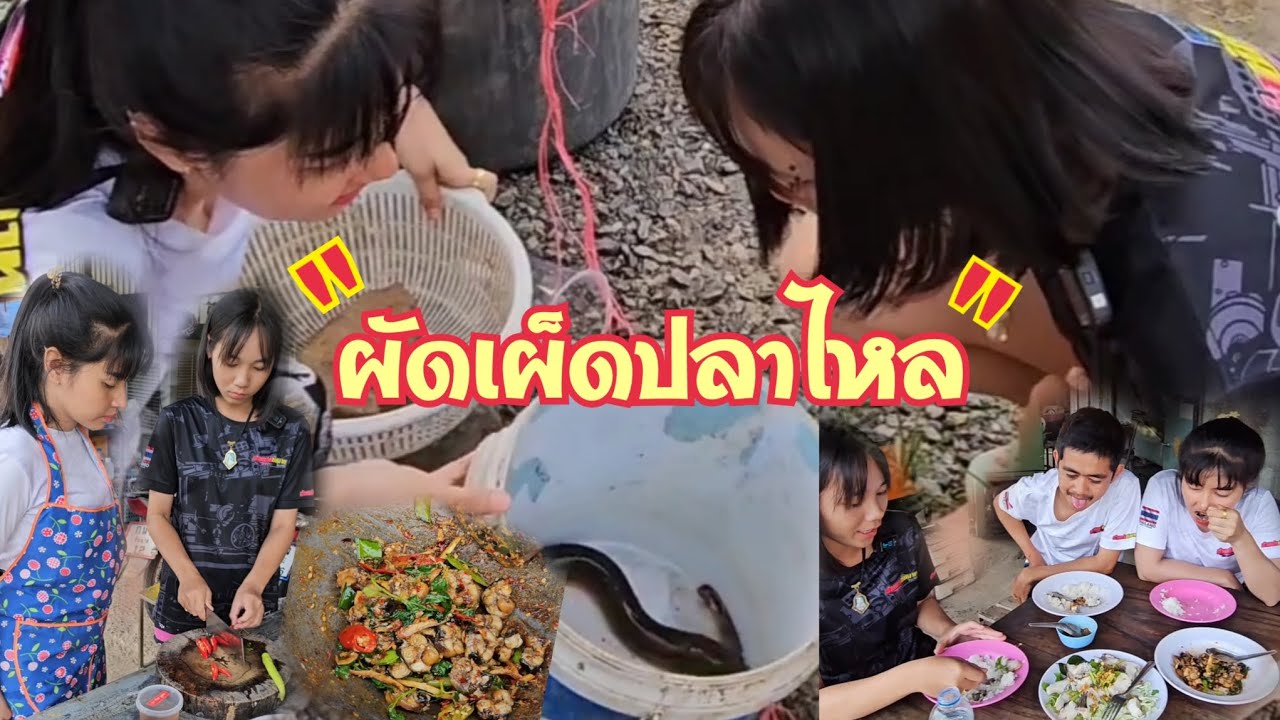 ผัดเผ็ดปลาไหล