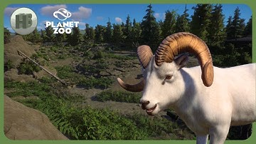 Starting the Great Northwest with a DALL SHEEP habitat! | Bell Valley Zoo | Planet Zoo