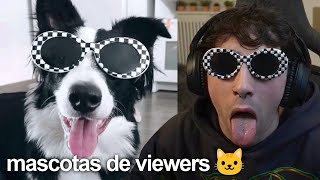 las mascotas de mis viewers #2 😛