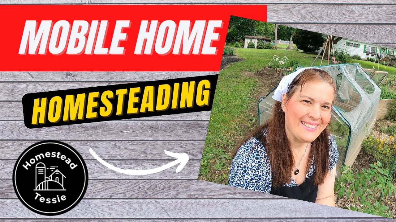 Save MONEY -Mobile Home Homesteading !!! 