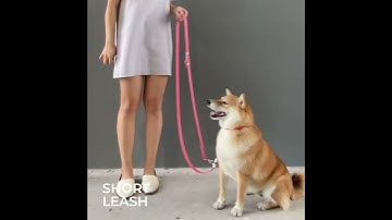 BORKSMITH multi function leash