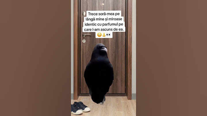 Miroase a trădare… și a parfumul MEU!#umor #surori #parfum #detectivuldinmine 💄👃🕵️‍♂️
