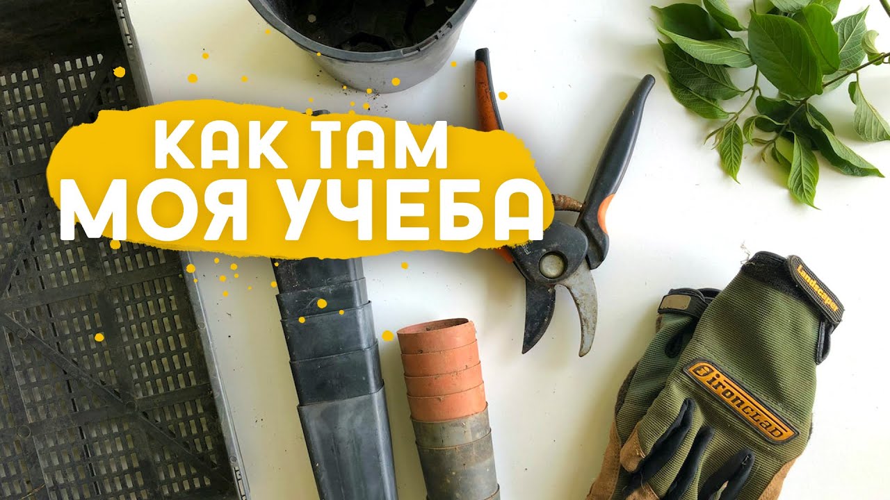 Про учебу на садовода в RHS в Англии (часть 2)