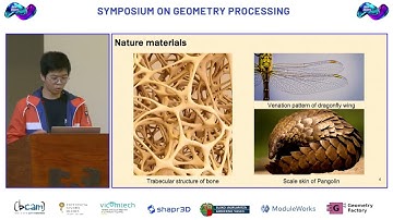 "Computational Design of Metamaterials" by Pengbin Tang